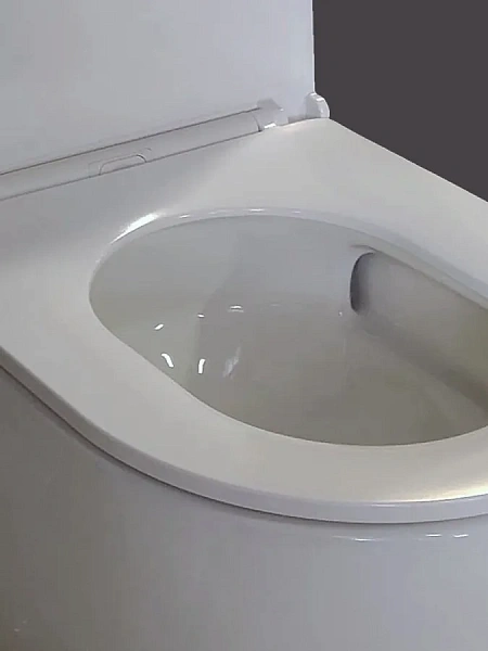 Унитаз-компакт Teymi Milana Vortex W00744 напольный безободковый с микролифтом фото 9