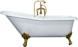 Чугунная ванна Elegansa Schale 170x75 Н0000261 фото 1
