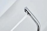 Смеситель для кухонной мойки Paulmark Essen Es213011-CR фото 3