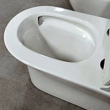 Унитаз-компакт Watersense Jessie Vortex W00092 напольный безободковый с микролифтом фото 10
