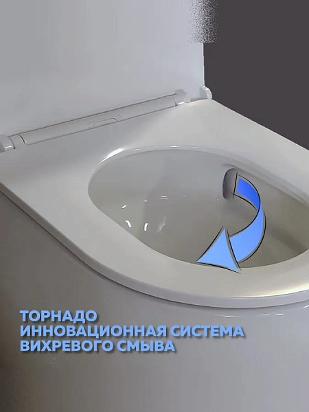 Унитаз-компакт Teymi Milana Vortex W00744 напольный безободковый с микролифтом фото 10