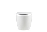 Унитаз Point Сатурн PN41901 подвесной безободковый с сиденьем микролифт фото 4