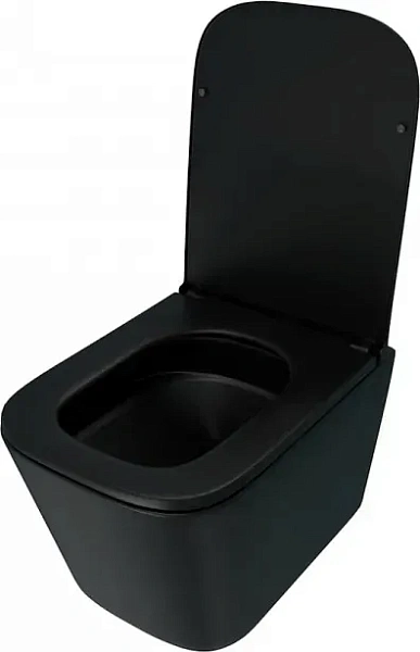 Унитаз Watersense Eva Pro Vortex Black W00789 подвесной безободковый с микролифтом фото 3