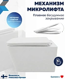 Унитаз Paomo Eva PO-40312 подвесной безободковый с микролифтом фото 5