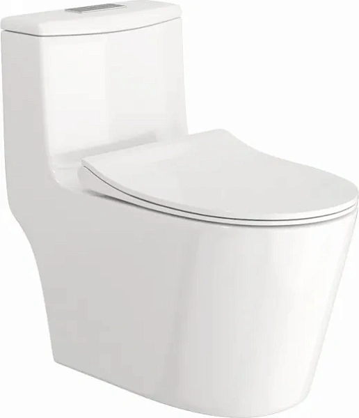 Унитаз-компакт Watersense Rita W00121 напольный безободковый с микролифтом фото 5