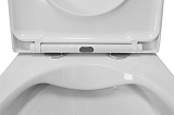 Унитаз Azario Fora AZ-0017 E-R подвесной безободковый с сиденьем микролифт фото 8