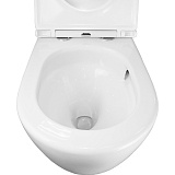 Унитаз Azario Grado AZ-2141D-UQ1 приставной безободковый с сиденьем микролифт фото 8