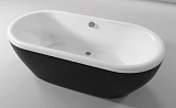 Акриловая ванна Riho Dua 180x85 BD0166500000000 с черной панелью фото 2