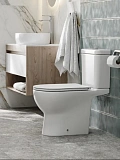 Унитаз-компакт Watersense Lalina Vortex W00749 напольный безободковый с микролифтом фото 9