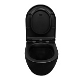 Унитаз Azario Grado AZ-0046N-MB подвесной безободковый с сиденьем микролифт фото 5