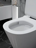 Унитаз Paomo Rita Pro Vortex PO-40225 подвесной безободковый с микролифтом фото 11