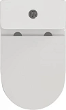 Унитаз-компакт Watersense Rita R W01656 напольный безободковый с микролифтом фото 7