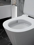 Унитаз Paomo Rita Pro Vortex PO-40225 подвесной безободковый с микролифтом фото 6