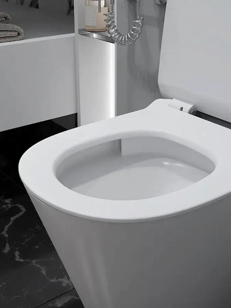 Унитаз Paomo Rita Pro Vortex PO-40225 подвесной безободковый с микролифтом фото 6