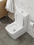 Унитаз-компакт Watersense Eva W00748 напольный безободковый с микролифтом фото 4