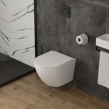 Унитаз Paomo Milana Vortex PO-40110 подвесной безободковый с микролифтом фото 2