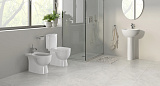 Унитаз-компакт Sanita Luxe Art WC.CC/Art/2-DM/WHT.G/S1 напольный с сиденьем микролифт фото 7