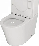Унитаз-компакт Watersense Rita R W01656 напольный безободковый с микролифтом фото 8