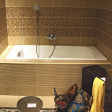 Чугунная ванна Jacob Delafon Biove 170x75 E2930-00 фото 2