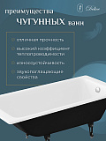 Чугунная ванна Delice Parallel 170x80 DLR 220502 фото 6