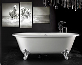Чугунная ванна Elegansa Gretta 170x75 V0000047 фото 3