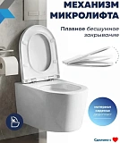 Унитаз Paomo Amelia Media Vortex PO-40504 подвесной безободковый с микролифтом фото 5