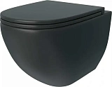 Унитаз Watersense Milana S W00080 подвесной безободковый с микролифтом фото 1