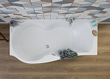 Акриловая ванна Aquanet Nicol 170x70 00204014 левая фото 5