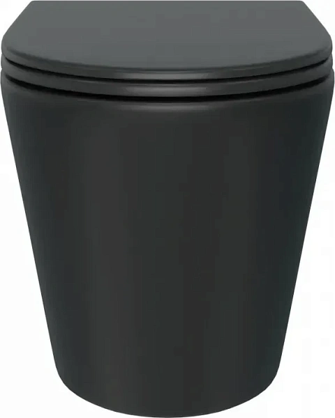 Унитаз Watersense Rita W00085 подвесной безободковый с микролифтом фото 1
