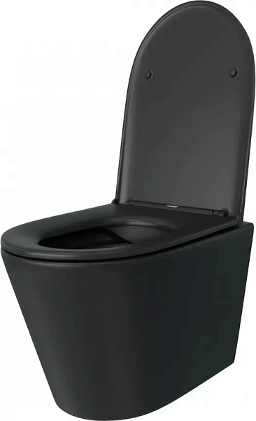 Унитаз Watersense Rita W00085 подвесной безободковый с микролифтом фото 2