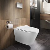 Унитаз Creo Ceramique CR1100NR подвесной безободковый с сиденьем микролифт фото 14